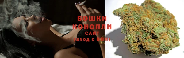 ПСИЛОЦИБИНОВЫЕ ГРИБЫ Балабаново