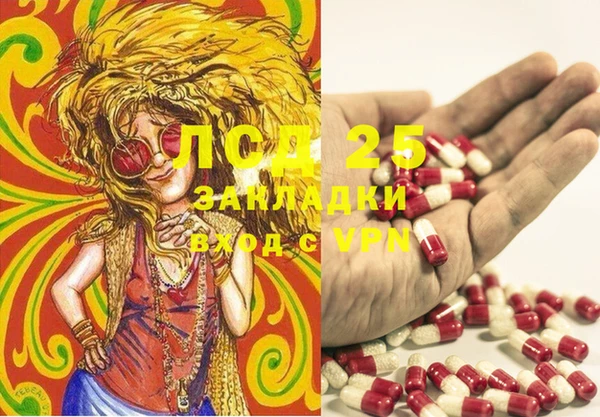 ПСИЛОЦИБИНОВЫЕ ГРИБЫ Балабаново