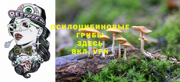 каннабис Заводоуковск